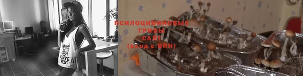 ешки Кодинск