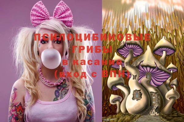 ешки Кодинск