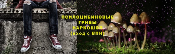 марки nbome Козловка